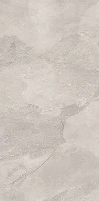 8101010029