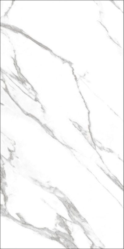 8252020334